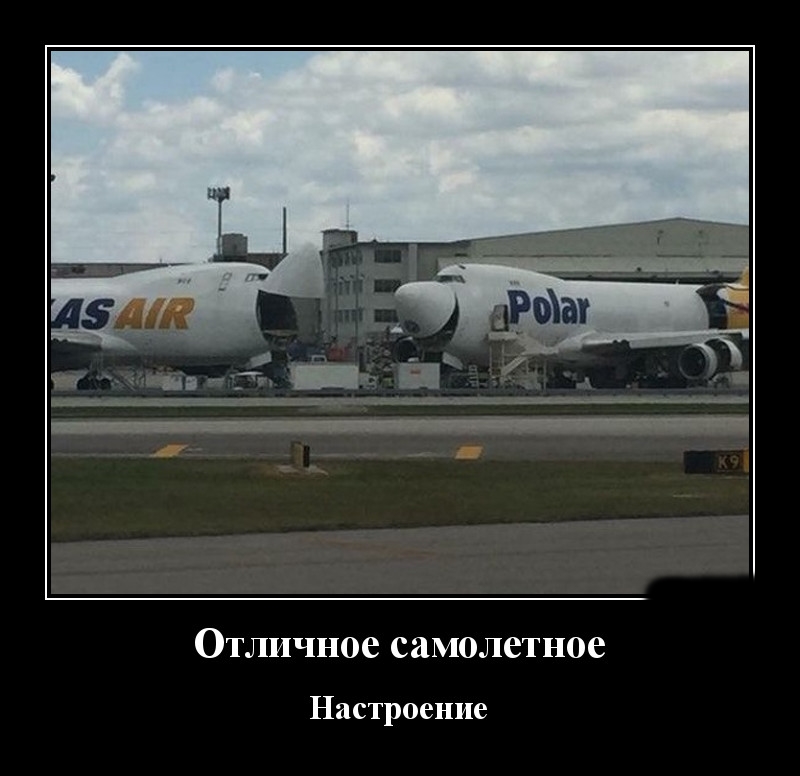 Podborka luchshikh demotivatorov 508 036